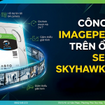 Công Nghệ ImagePerfect Trên Seagate SkyHawk Là Gì? Nên Đầu Tư Vào Ổ Cứng SkyHawk Hay Ổ Cứng Thường Là Đủ