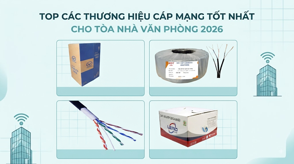 Top các thương hiệu cáp mạng tốt nhất cho tòa nhà văn phòng 2026
