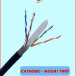 Cáp mạng CAT6 - OBC