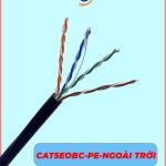 Dây cáp mạng CAT5E OBC